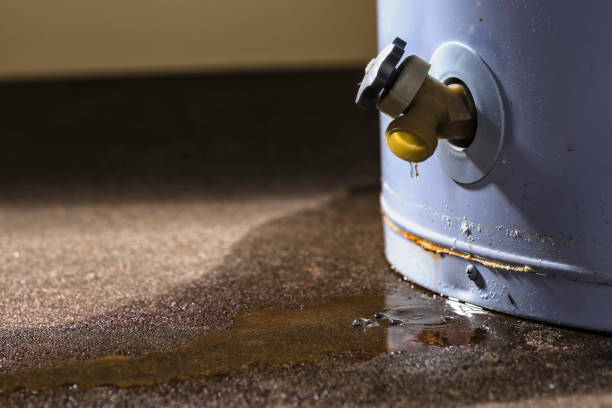 Best Basement water damage restoration  in Upper Fruitland, NM