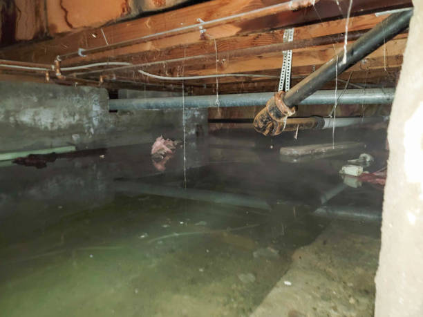 Best Emergency water damage restoration  in Upper Fruitland, NM