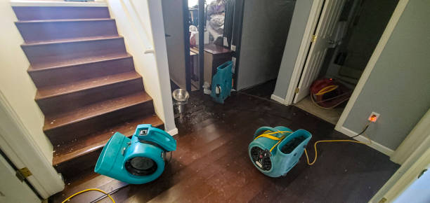 Best Water damage restoration near me  in Upper Fruitland, NM