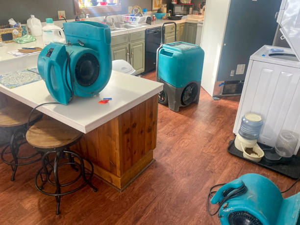 Best Water damage restoration cost  in Upper Fruitland, NM