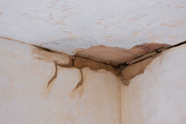 Best Basement water damage restoration  in Upper Fruitland, NM
