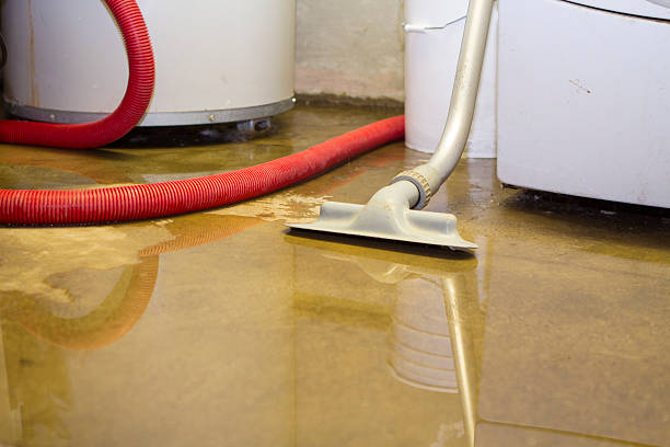 Best Sewage cleanup and water damage restoration  in Upper Fruitland, NM