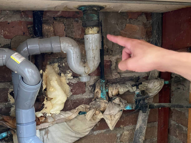 Best Mold removal after water damage  in Upper Fruitland, NM